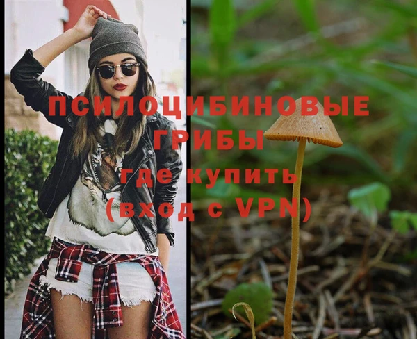 mdpv Алексин