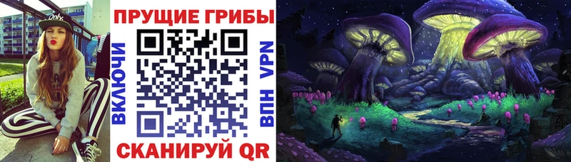 OMG ССЫЛКА  Бикин  Галлюциногенные грибы MAGIC MUSHROOMS 